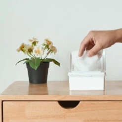 HAPPYSHOPPING Boite De Rangement Croisee Avec Couvercle, Boite A Mouchoirs Humides Coulissante, Boite A Poussiere Pour Masque, Blanc, 275196 S: 13,2x11x7cm - 275196 S: 132x11x7cm -Protection des voies respiratoires Soldes 27394693 3