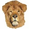 STAR CUTOUTS Masque En Carton - Animal Le Lion 27 Cm - Multicolor 2 STAR CUTOUTS Masque En Carton - Animal Le Lion 27 Cm - Multicolor -Protection des voies respiratoires Soldes 37539113 1