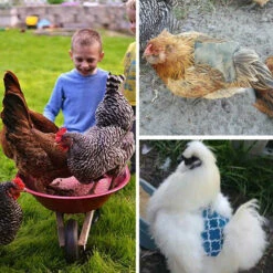 Selle De Tablier De Poulet À Sangle Unique,Triomphe Tablier De Paille De Fixateur De Plume De Selle De Poulet De Selle Standard Pour La Volaille Tablier De Selle De Poule De Volaille Respirante-Kaki -Protection des voies respiratoires Soldes 46607404 5