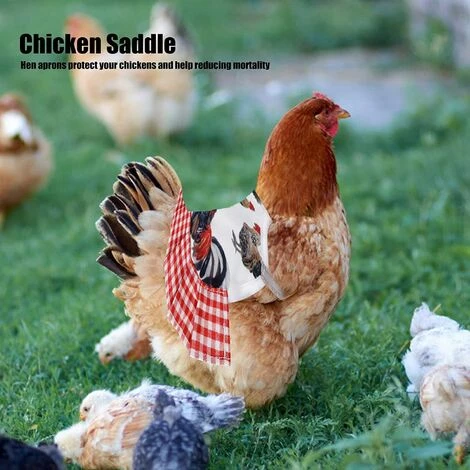 Selle De Poulet Résistante à L'usure,Triomphe Tablier De Poule, Paquet De 2 Thermiques Pour Poules De Volaille 5 Selle De Poulet Résistante à L'usure,Triomphe Tablier De Poule, Paquet De 2 Thermiques Pour Poules De Volaille – Image 3