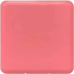 LangRay Bo?te De Rangement étanche Pour Masques Anti-poussière Bo?te Organisateur Jetable Pour Couverture Faciale(Rose)